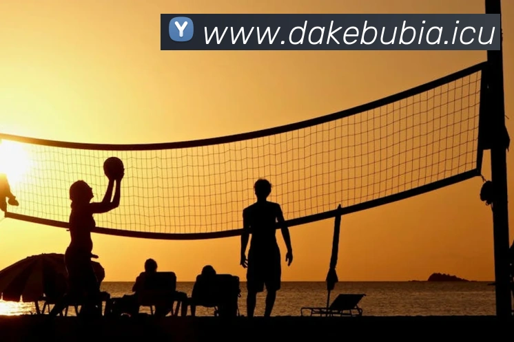 mksports在线登录服务体系